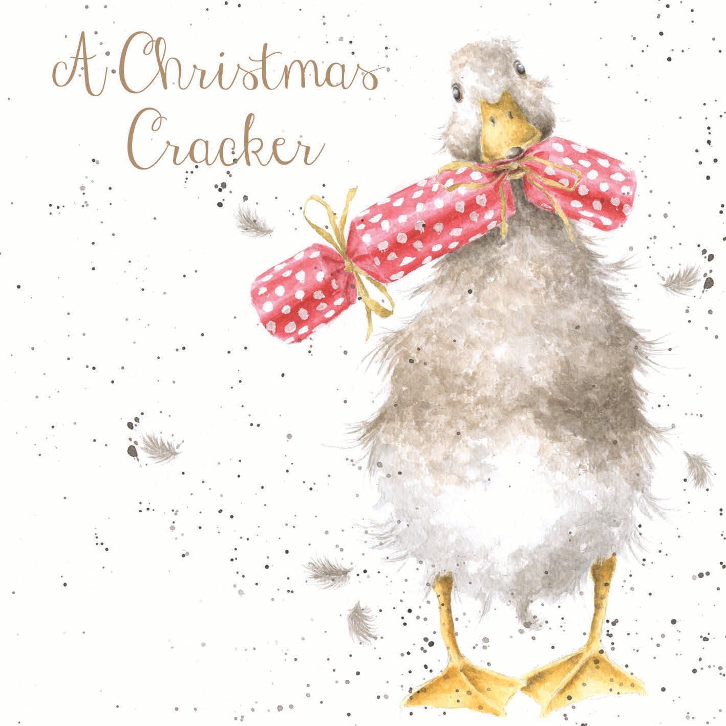 Wrendale Designs Chrsitmas Cards pack 8 DUCK bonbon