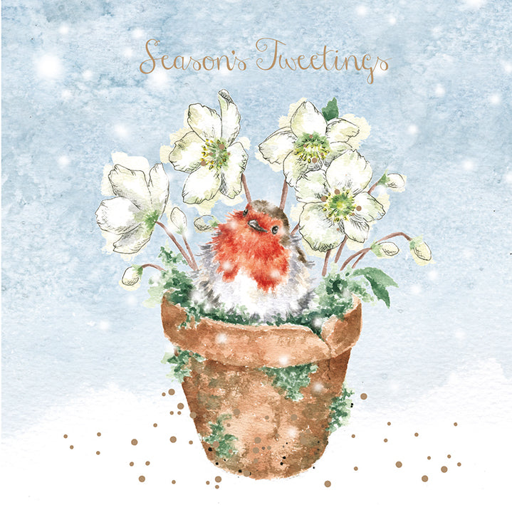 Wrendale Designs Chrsitmas Cards pack 8 ROBIN terracota flowerpot