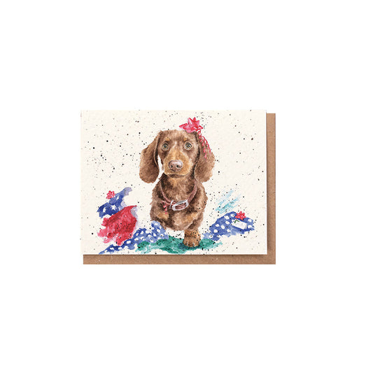 Wrendale Designs Chrsitmas Card Mini DACHSHUND torn wrapping