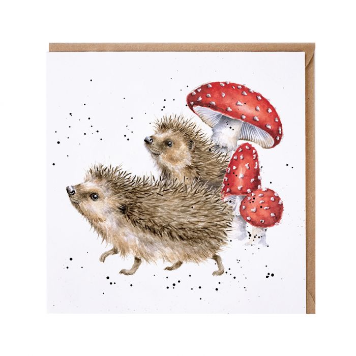 Wrendale Designs card Country Set A PRICKLY ADVENTURE hedgehogs