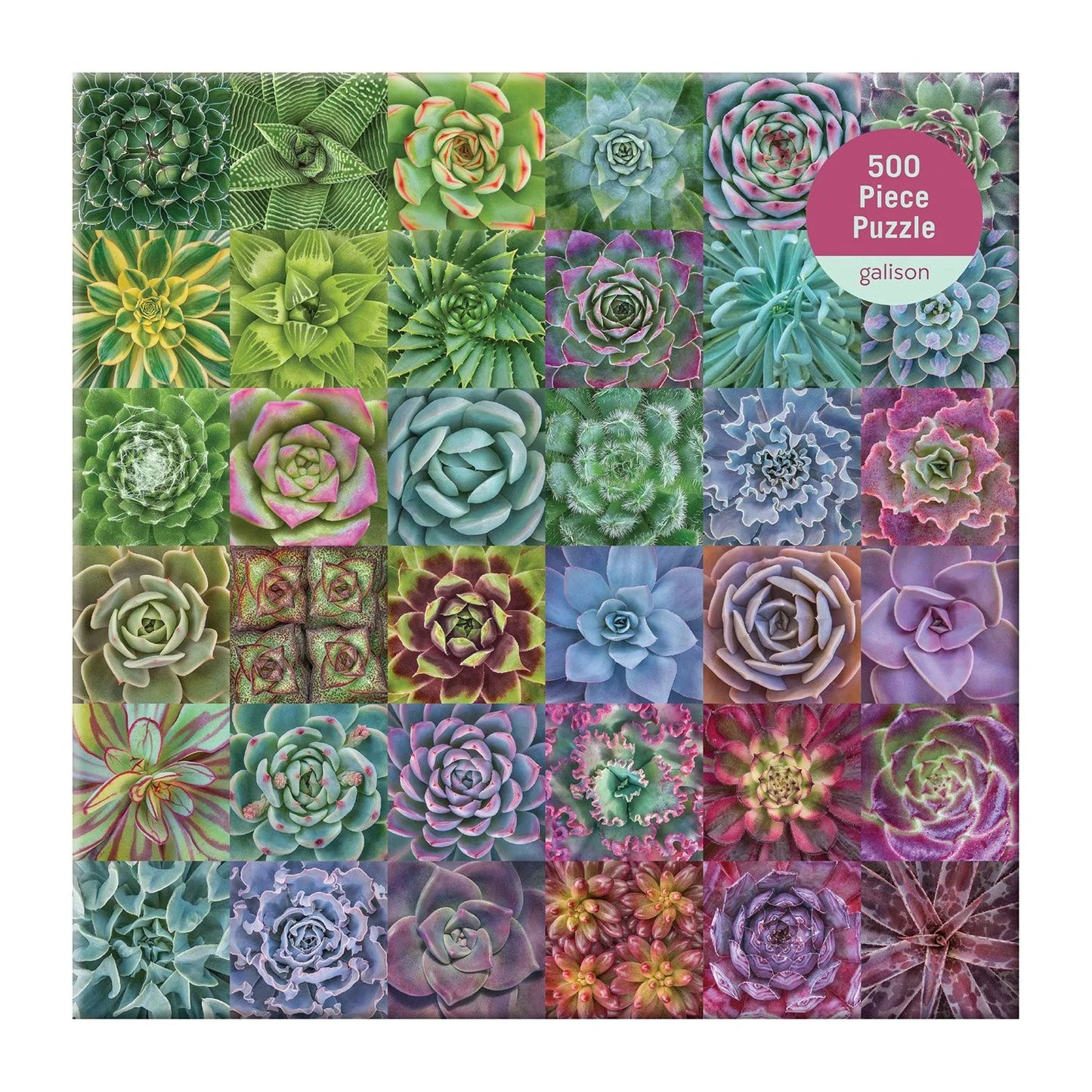 Jigsaw Galison SUCCULENT SPECTRUM 500pc